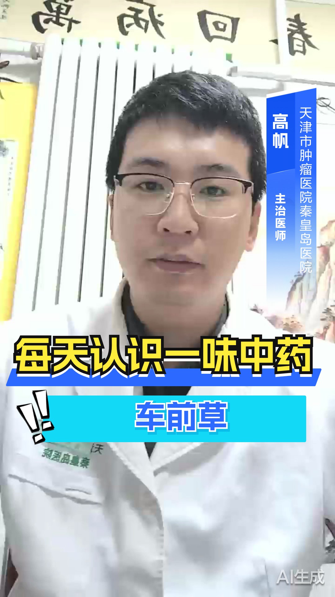 每天认识一味中药车前草