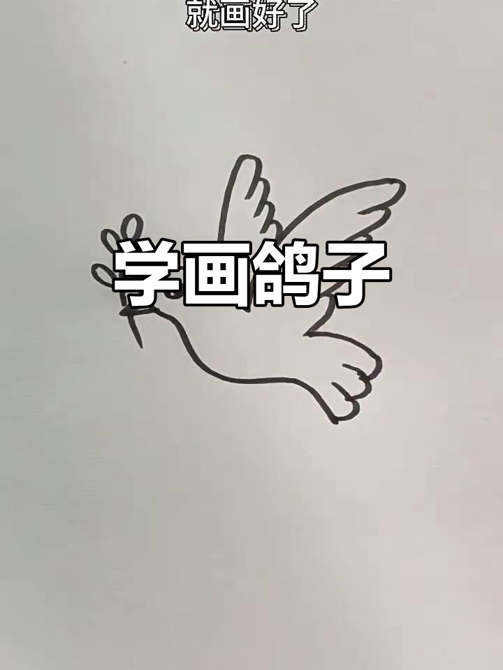 轻松画出可爱鸽子,步骤简单又有趣