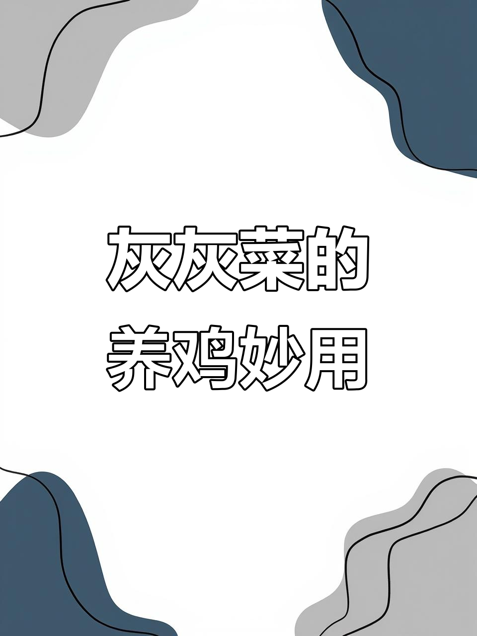 灰灰菜喂鸡的三大好处,你知道吗?