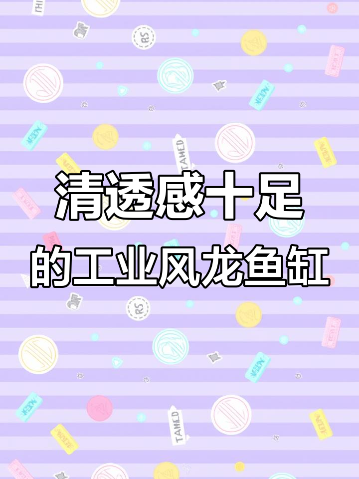 工业风龙鱼缸设计,白色底与透明玻璃胶搭配更显清透