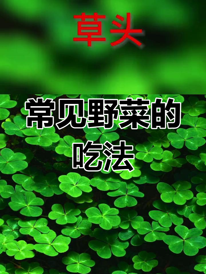 野菜种类与功效解析