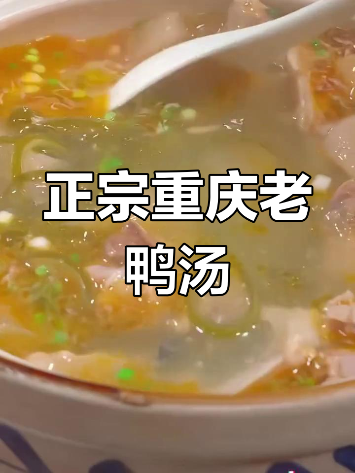 重庆老鸭汤,酸爽又美味!毛哥酸萝卜炖出正宗口感