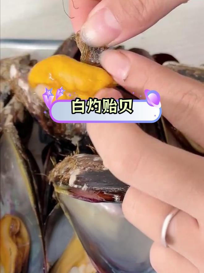 舟山嵊泗野生淡菜,简单水煮尝鲜