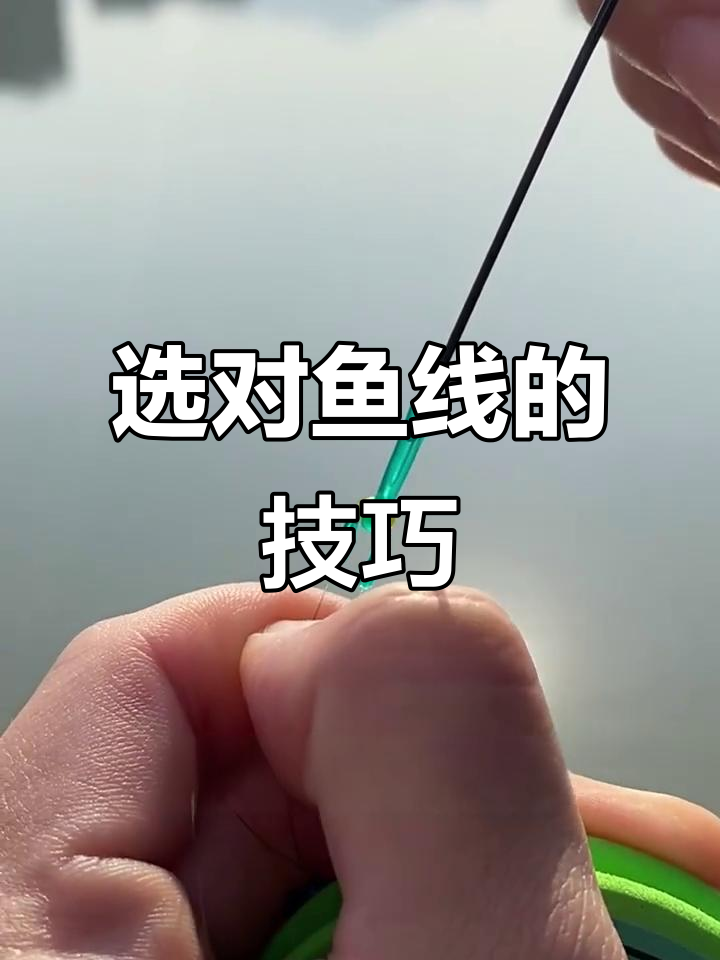 如何挑选鱼线?关键点全解析