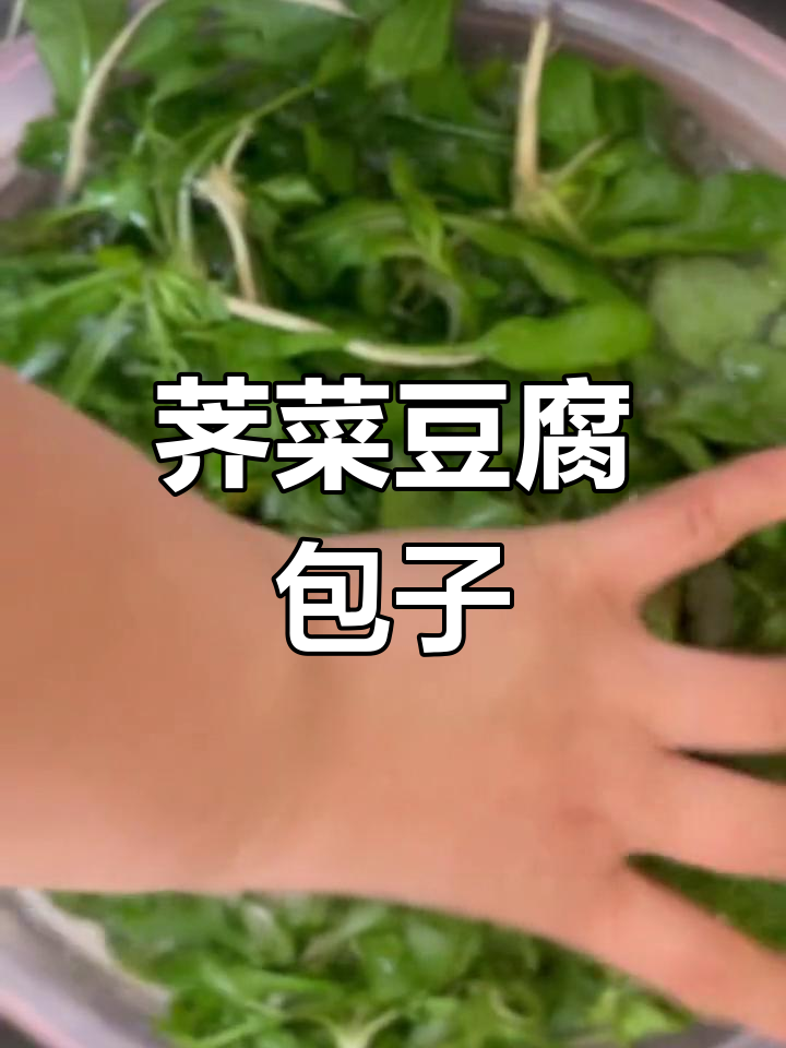 荠菜豆腐包,皮薄馅多,一口气吃了八个!