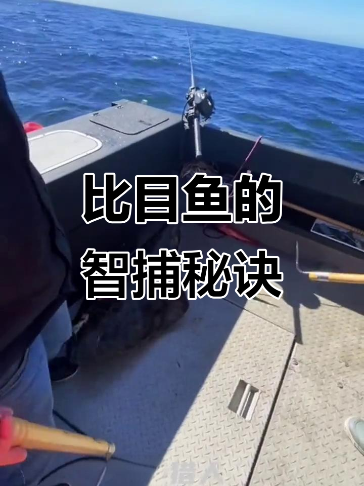 钓比目鱼得靠智慧,放个浮球让它自己游动,轻松捕获!