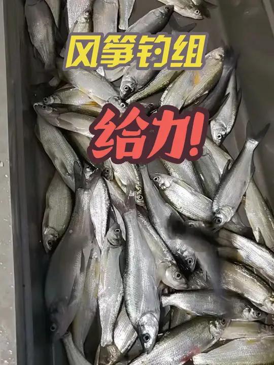 夏季路亚,风筝钓组太给力了 夏季路亚,选风筝钓组就对了,主页置顶视频有绑法,有手法～7克铅