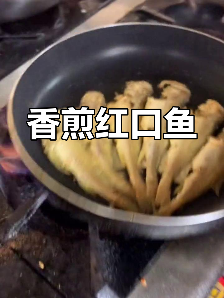 潮汕风味香煎红口鱼,回头客超多