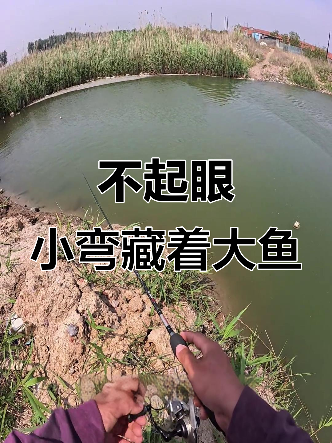 小水湾藏大鱼,路亚连杆海鲈挑战