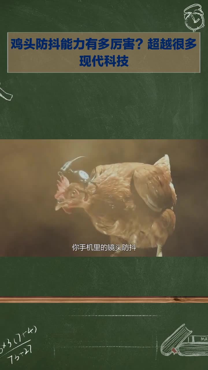 鸡头防抖能力有多厉害?竟超越很多现代科技