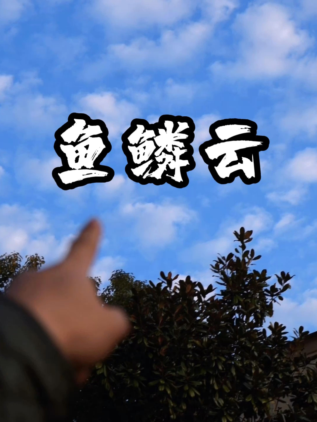 天空出现鱼鳞云代表什么呢?