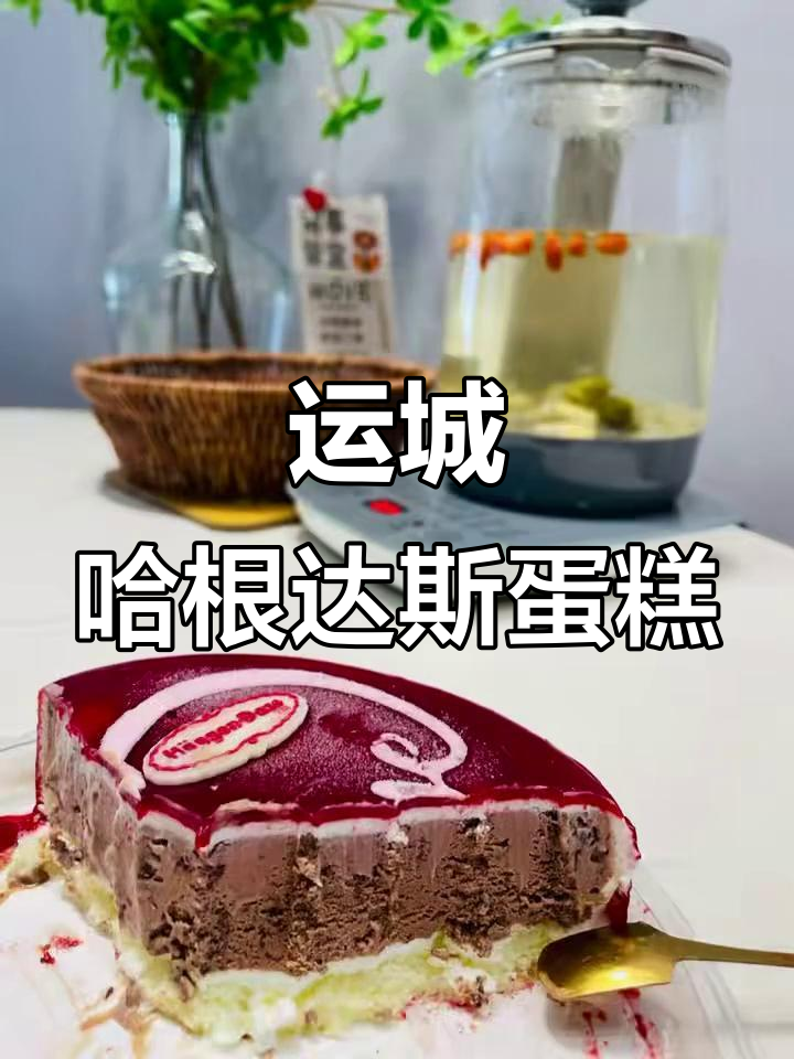 运城首家哈根达斯蛋糕店,尝鲜必试!