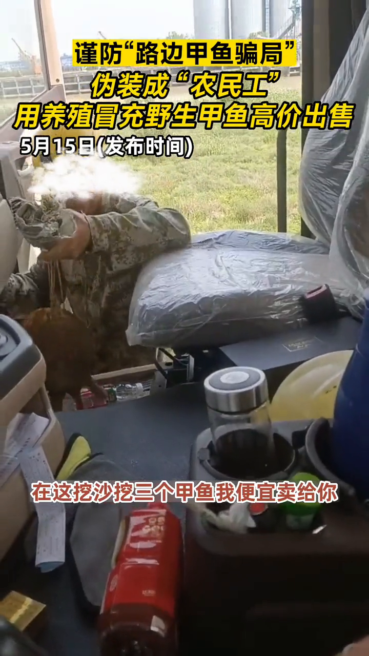 谨防“路边甲鱼骗局” 伪装成“农民工”用养殖冒充野生高价出售