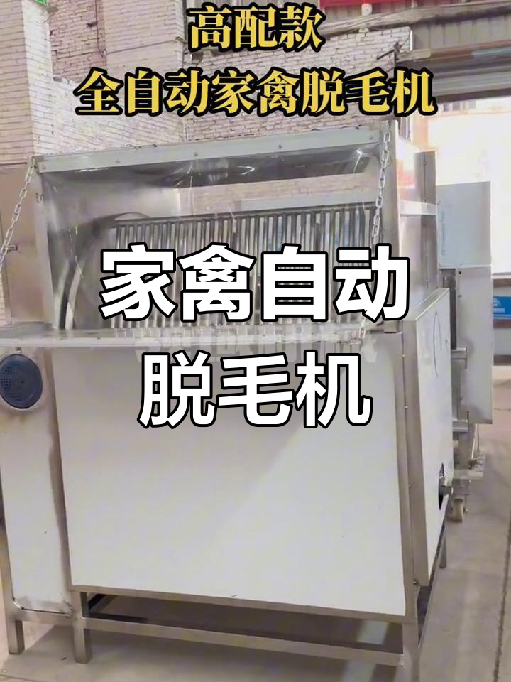 高配全自动家禽脱毛机,烫脱一体设计