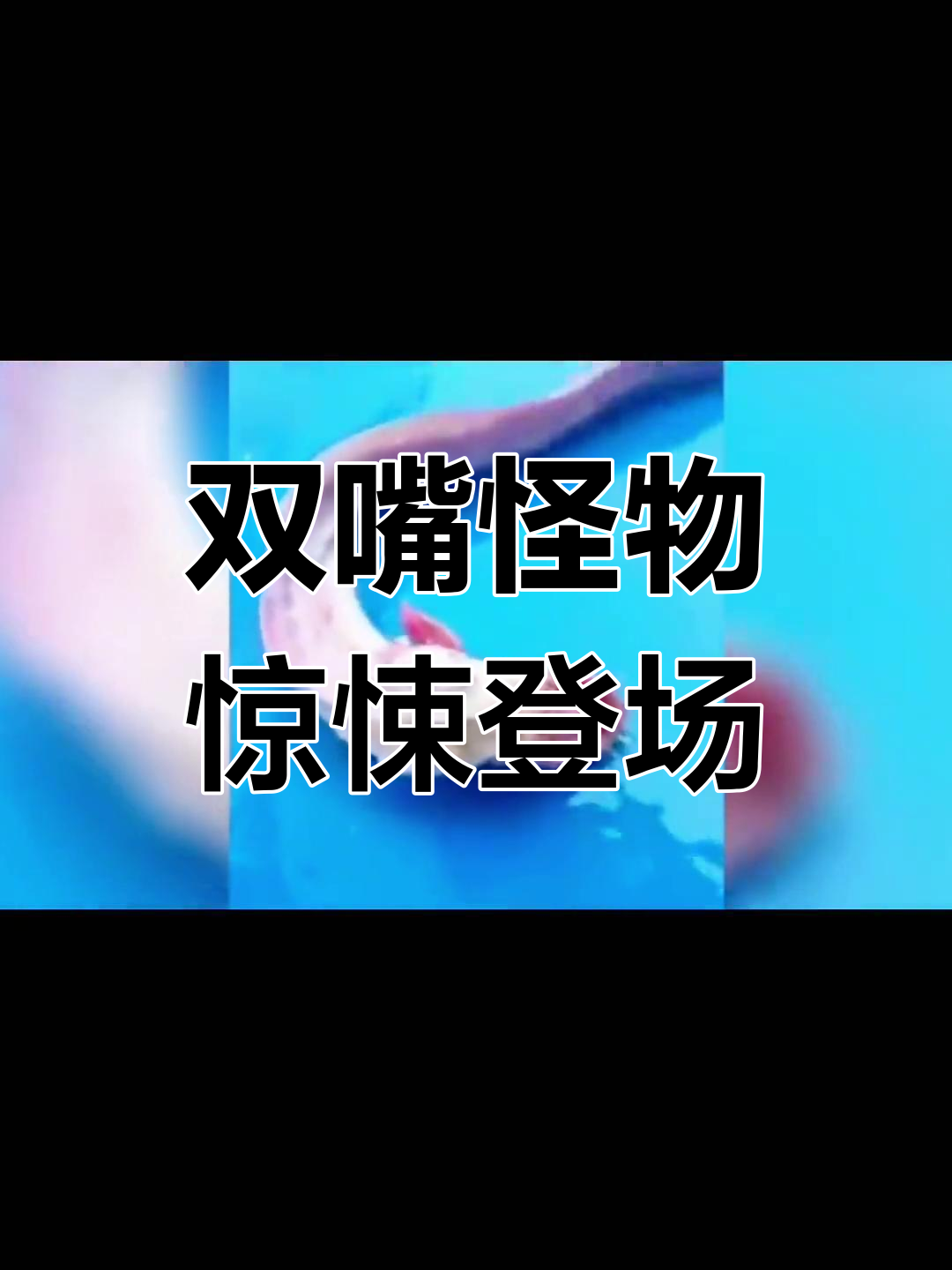 深海怪鱼现身,竟有双嘴无眼?
