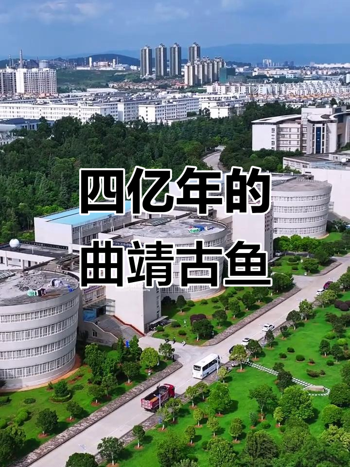 2025年曲靖古鱼王国：四亿年等你探秘