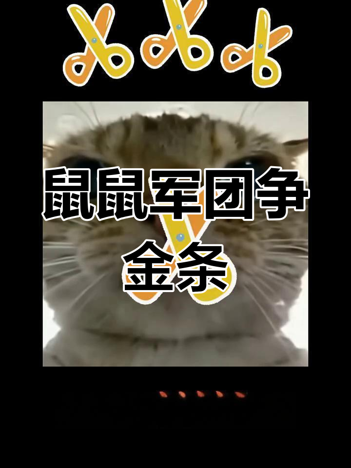 叔鼠与鸡套争夺金条,蓝队猛攻引发爆笑表情包大战