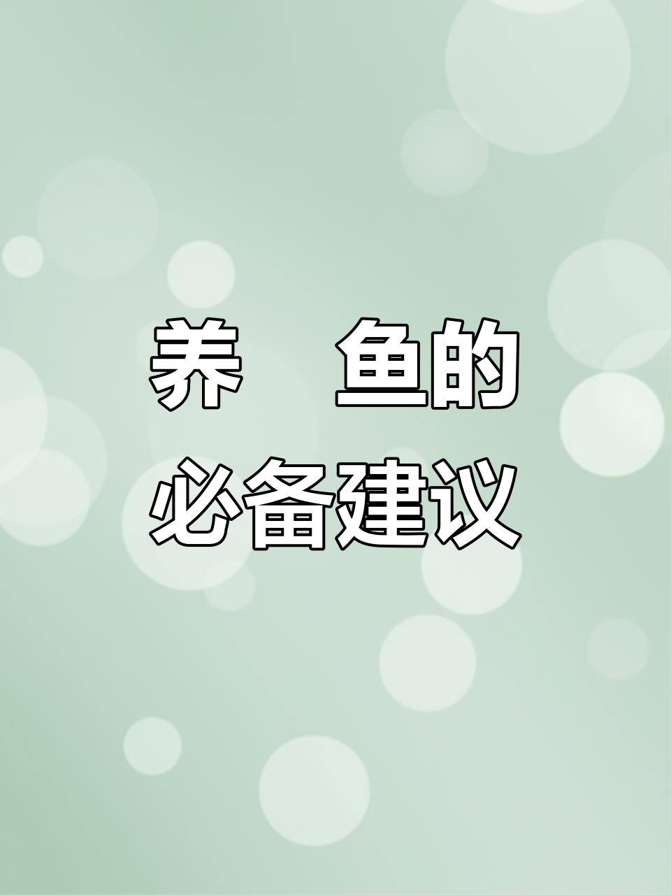 魟鱼饲养必看,困水桶不贵,别找借口!