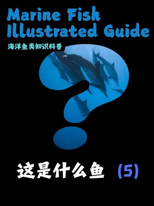 能把这六种鱼都认出来的,算你狠