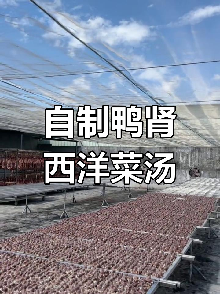 晒鸭肾西洋菜汤,润燥又美味