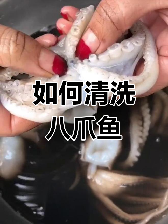 八爪鱼清理全攻略,教你如何处理内脏和墨囊