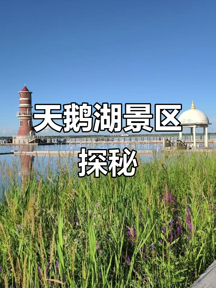 张家口天鹅湖:美景与自然和谐共存