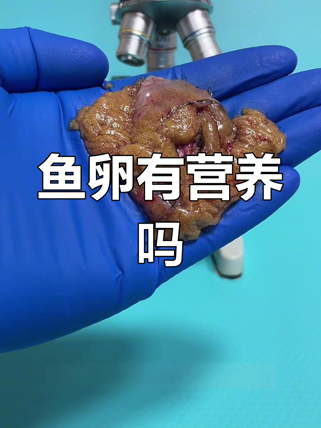 鱼卵到底有没有营养?显微镜下揭秘真相