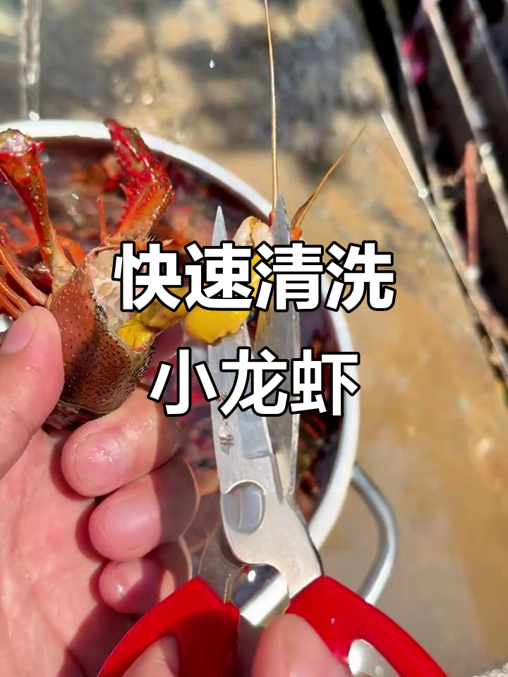 三步轻松清理小龙虾,快速去头、肠和腮
