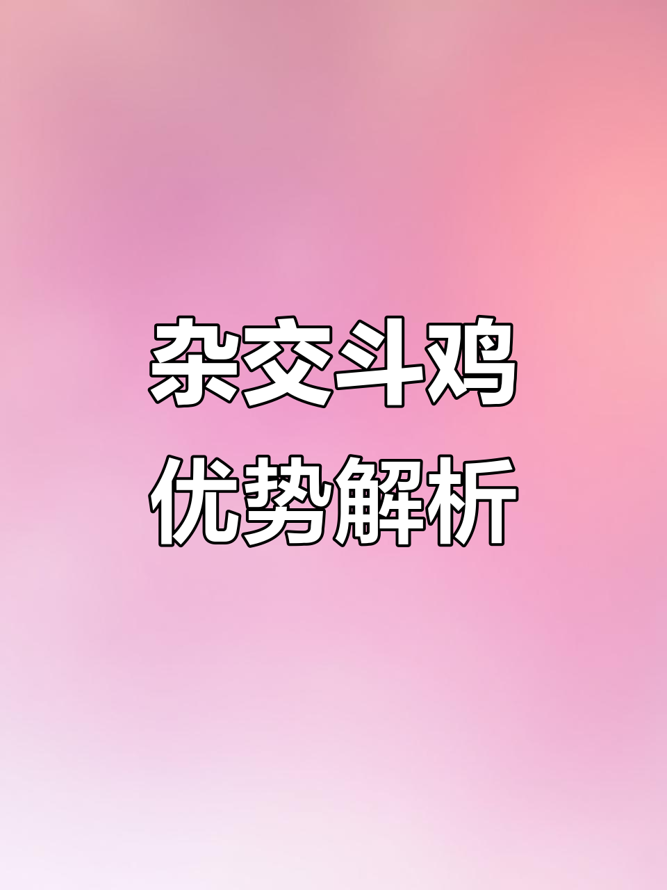 杂交斗鸡的优势与回血的区别，如何选择更强的种鸡