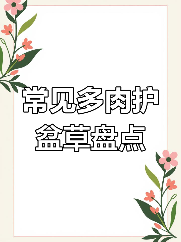 多肉植物护盆草大揭秘:黄金草、吉星美人等品种介绍