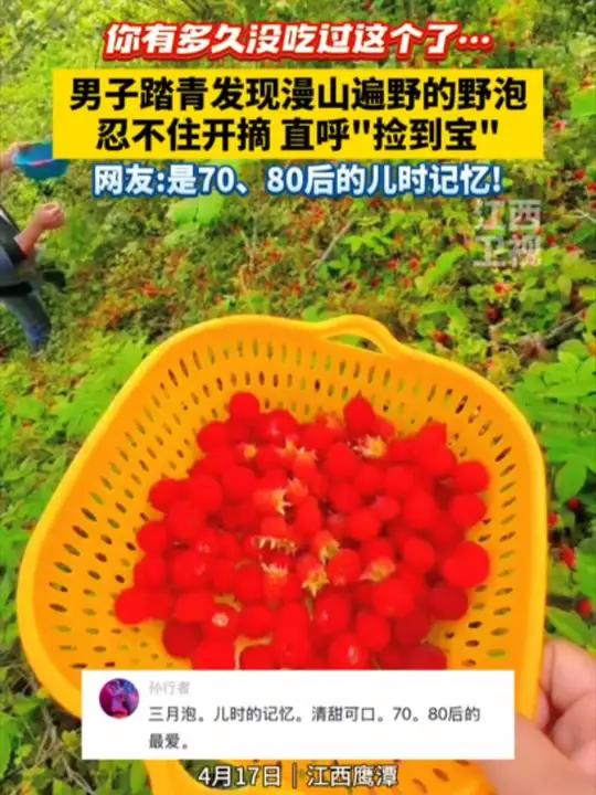 你有多久没吃过它了……70、80后们,你还认得它吗?儿时的味道野果童年记忆小零食来源