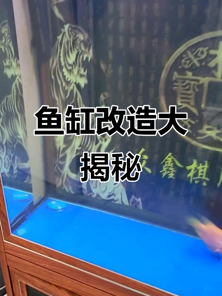 鱼缸改装全流程：拆管扩孔，安装鱼马桶