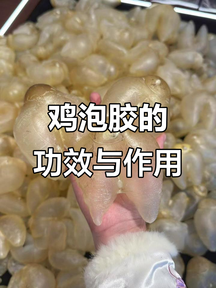 鸡泡胶:滋补子宫、美容养颜的神奇功效