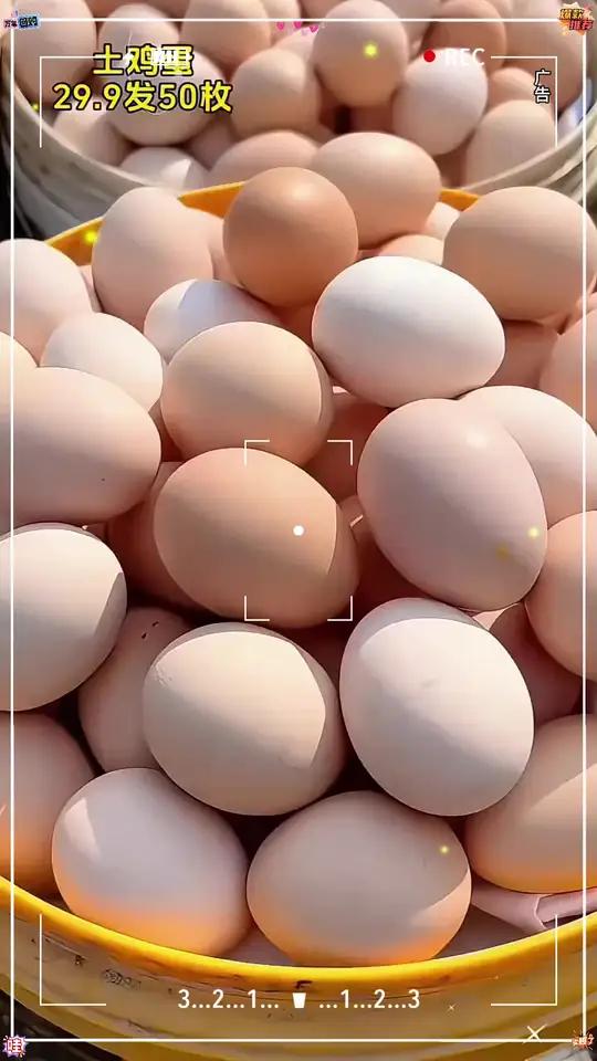 「50枚现捡」农家土鸡蛋大山散养五谷喂养40克-50克鸡蛋真散养蛋