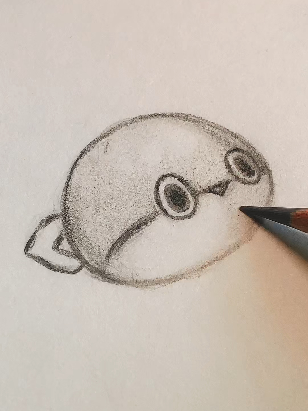 萨卡班甲鱼绘画过程