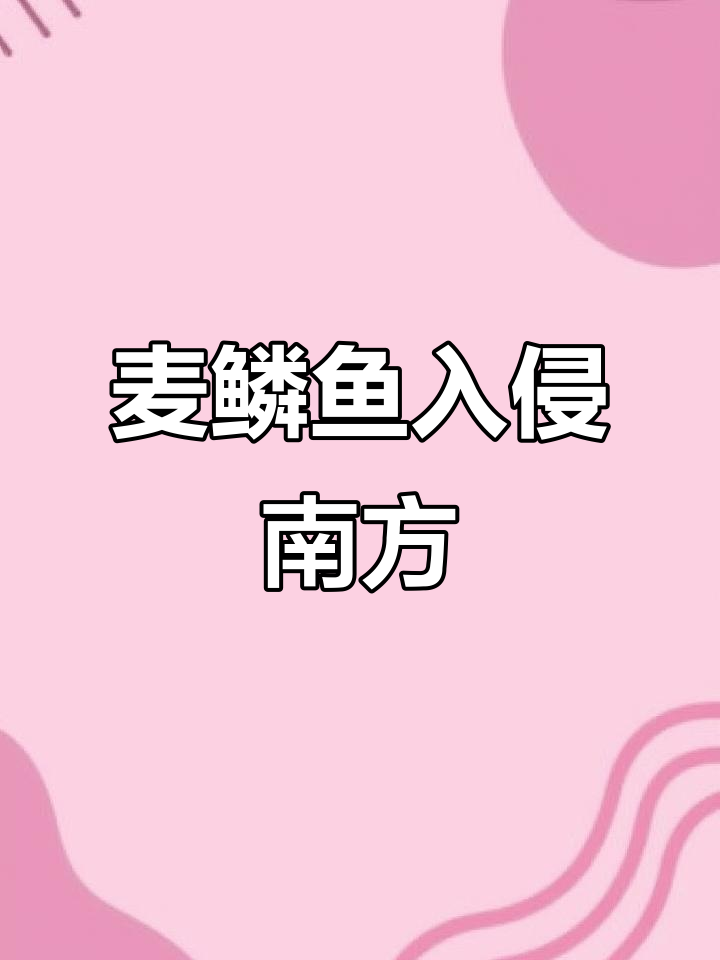 麦鲮鱼：南方水域的“新宠”，草鱼的孪生兄弟