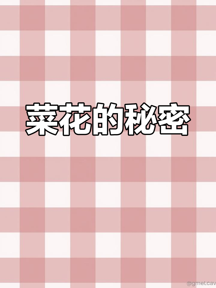 活了35年才知道,原来菜花不止油菜花一种!