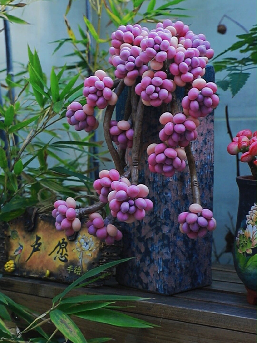 多肉老桩