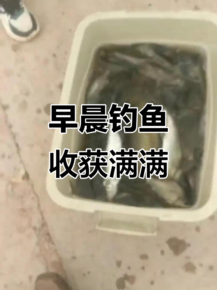 早上钓了三十斤,技术差点只捕到草鱼