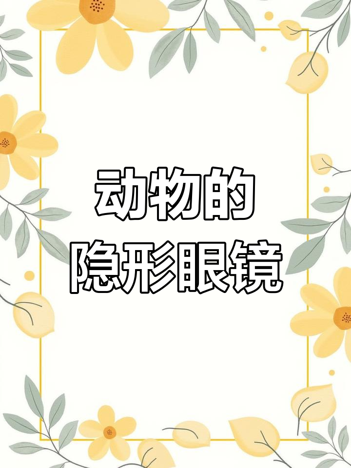动物瞬膜揭秘:如何保护眼睛免受伤害