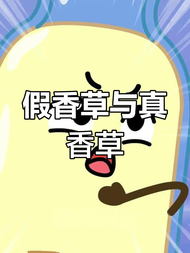 香草冰淇淋的真相:天然与人工的区别