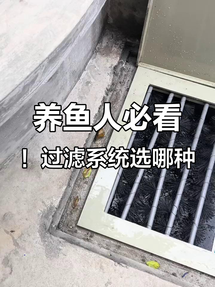 鱼池过滤系统全解析：如何选择最适合的过滤设备