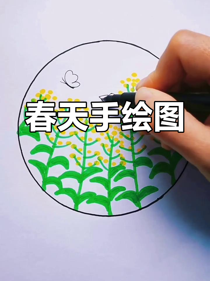 春天的色彩与梦想,手绘油菜花和小鸡追云