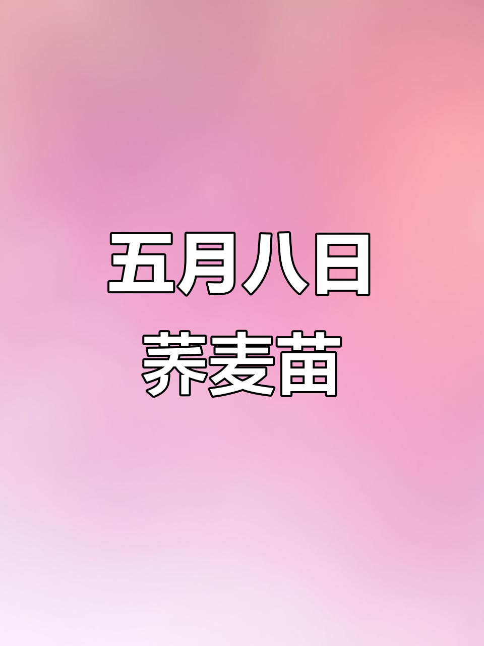 八号雨天,荞麦秧子长势喜人,山坡上的小芽胖嘟嘟