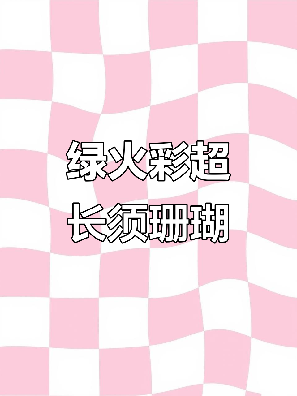 超长须海水鱼珊瑚,绿火彩品种揭秘