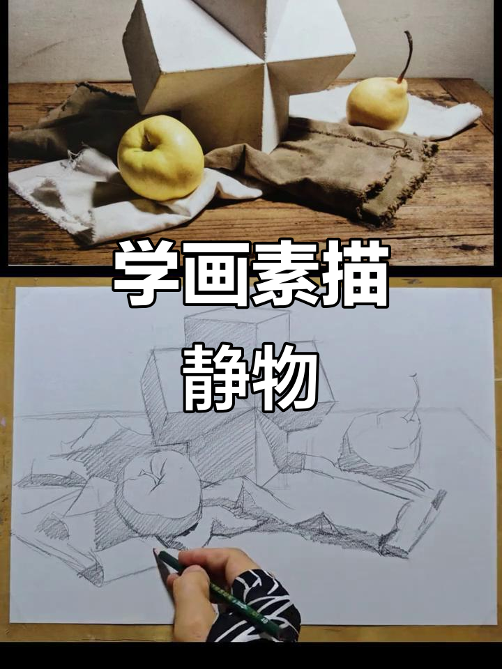 素描静物教学,轻松掌握画画技巧