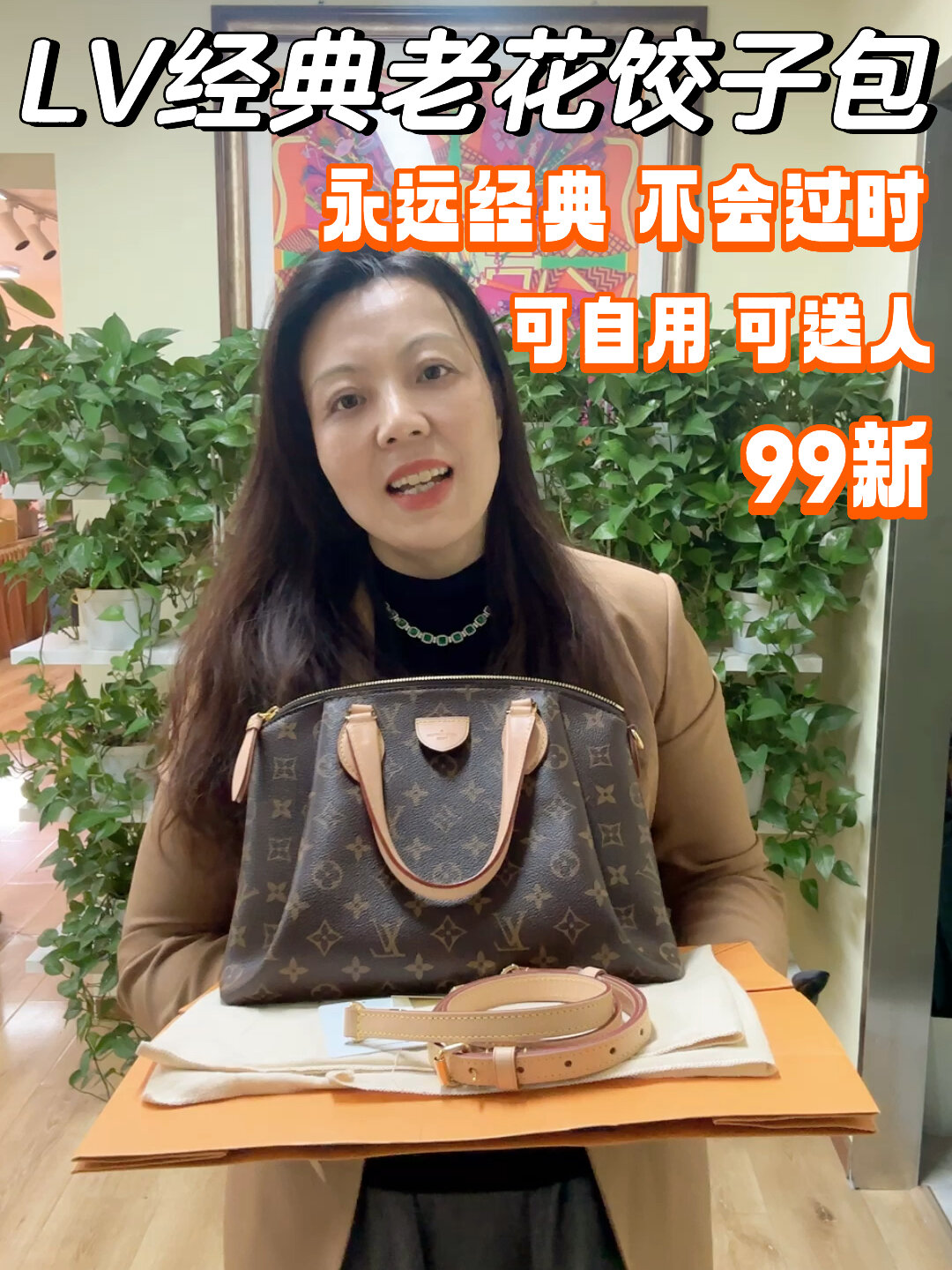 永远经典不会过时LV经典老花饺子包