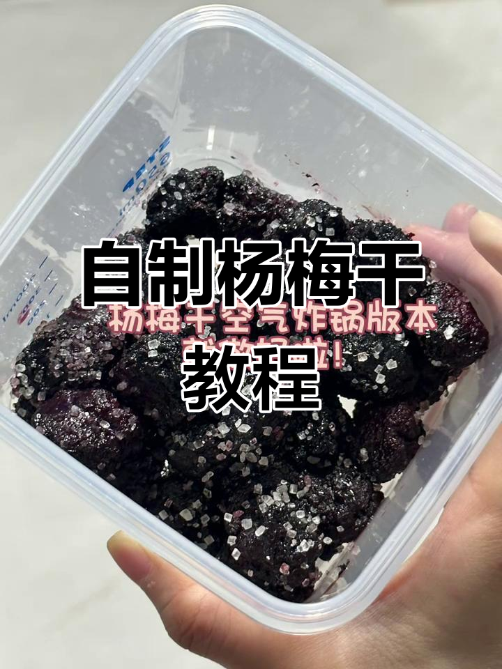 杨梅干空气炸锅做法,简单又美味