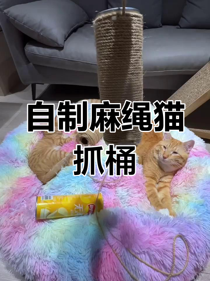 用麻绳和薯片罐DIY猫抓桶,简单又结实!