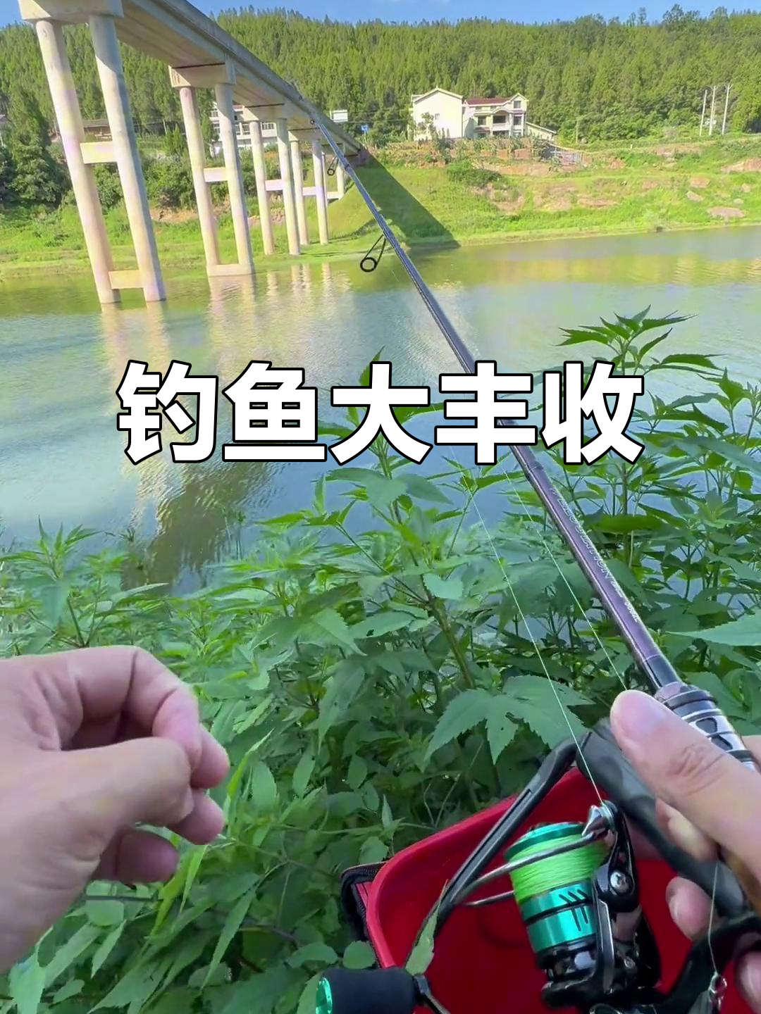 禁钓期结束,意外收获满满翘嘴,白天钓鱼惊喜连连!